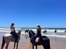 Morocco-Morocco-Beaches, Forests & Desert Waterfalls